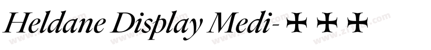 Heldane Display Medi字体转换
